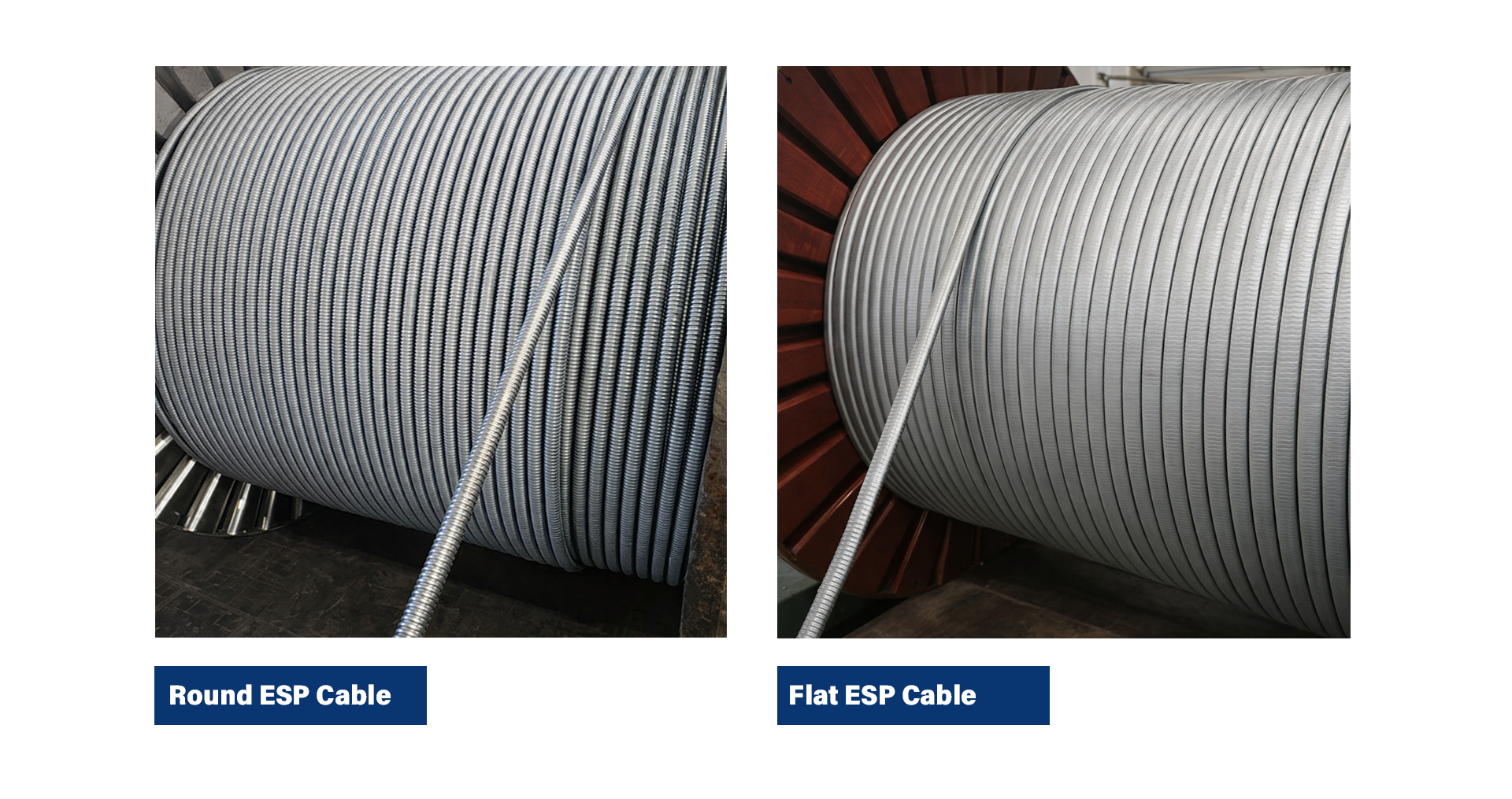 Electrical Submersible Pump Cable (ESP Cable) - Lander